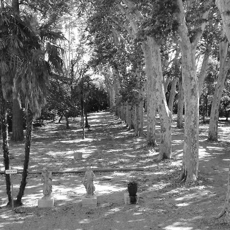 Saint-Pargoire Chateau Rieutort المظهر الخارجي الصورة
