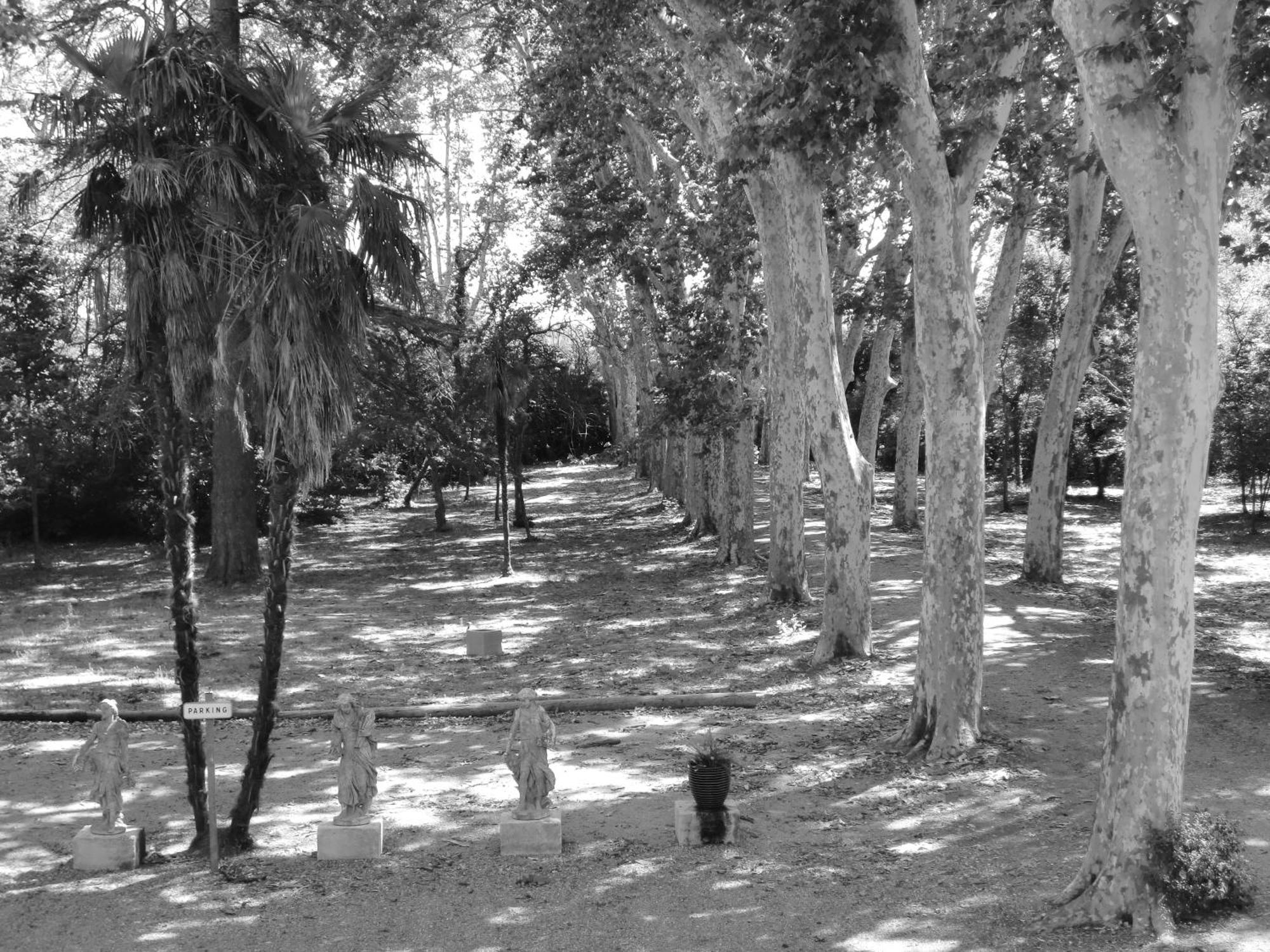 Saint-Pargoire Chateau Rieutort المظهر الخارجي الصورة