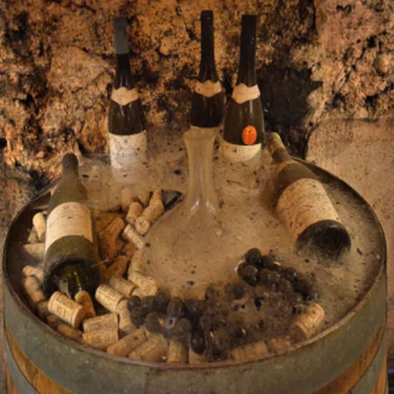 Saint-Pargoire Chateau Rieutort المظهر الخارجي الصورة